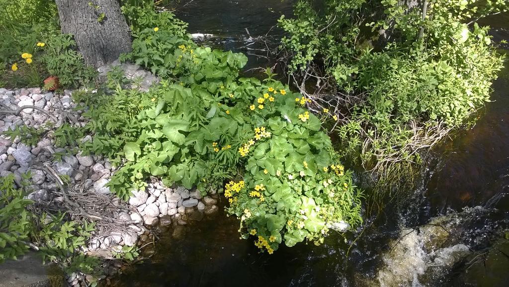 Kirjakkalan Ruukkikylae Teijo Exterior foto